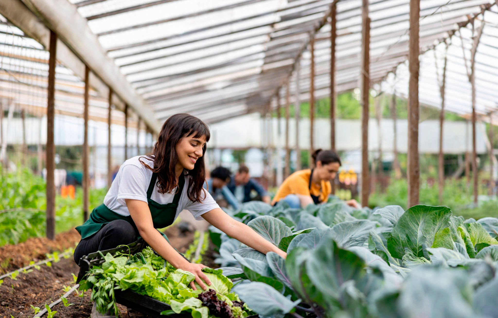 Agroecología